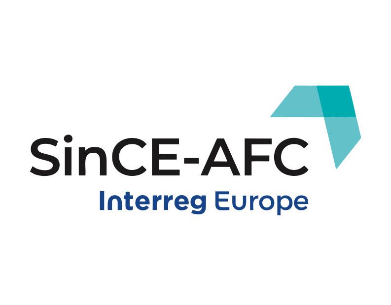 Agenția pentru Dezvoltare Regională Sud Muntenia organizează un Import Workshop în cadrul proiectului SinCE-AFC